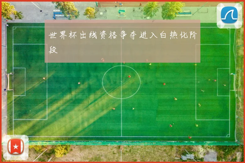 世界杯出线资格争夺进入白热化阶段