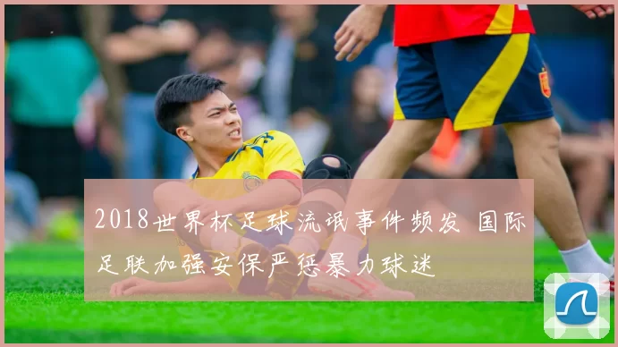 2018世界杯足球流氓事件频发 国际足联加强安保严惩暴力球迷