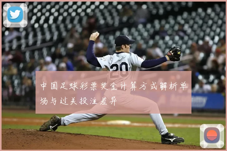 中国足球彩票奖金计算方式解析单场与过关投注差异