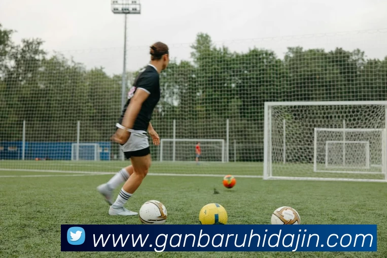 App Interface Preview